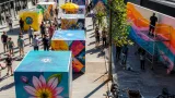 Almere Centrum twee dagen openluchtmuseum tijdens Docks Streetart Festival