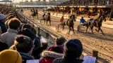 Kortebaan in IJmuiden: gokken, gezelligheid en paarden met ‘leuke namen’