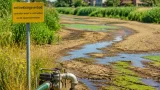 Lage waterstanden rond Amersfoort: grondwater daalt en blauwalg duikt op
