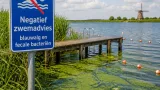 Negatief zwemadvies op 9 Friese plekken door poepbacterie en blauwalg