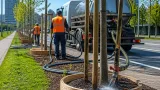 Nieuwegein zet waterwagens en houten gietranden in om jonge bomen te beschermen