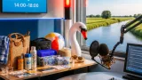 RTV Oost zet zomerse programmering in met vier uur ‘Zomer in Overijssel’ vandaag