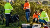 Vrijwilligers en technologie remmen verspreiding Aziatische hoornaar in Overijssel