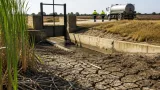 Waterschap Limburg waarschuwt: schaarste grondwater bedreigt natuur en landbouw