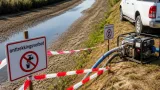 Waterschappen vergroten wateronttrekkingsverbod in Limburg; natuur in 'kritieke situatie'