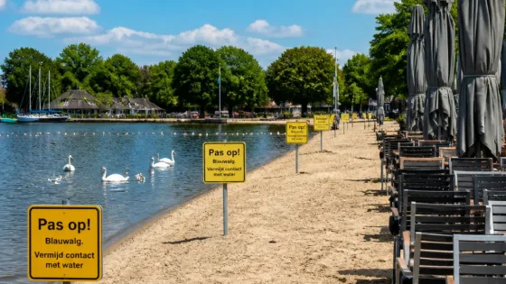 Blauwalg op Zomerkade zorgt voor uitgestorven strand en zorgen bij horeca in Huizen