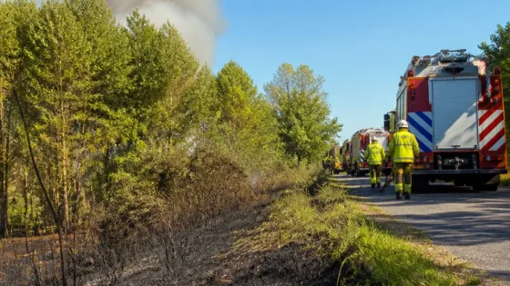 Bosbrand langs Broekpolderweg legt stuk natuur in Vlaardingen lam