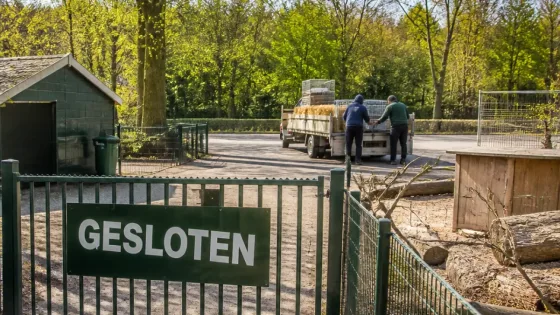 Kinderboerderij De Knotwilg blijft dicht: tekort aan vrijwilligers houdt dieren weg uit wijk Schouw