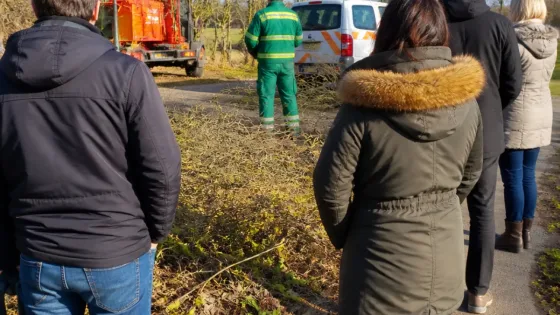 PRO roept vragen op over snoeiwerkzaamheden in Vlaardingen na dood egel en vernielde nesten