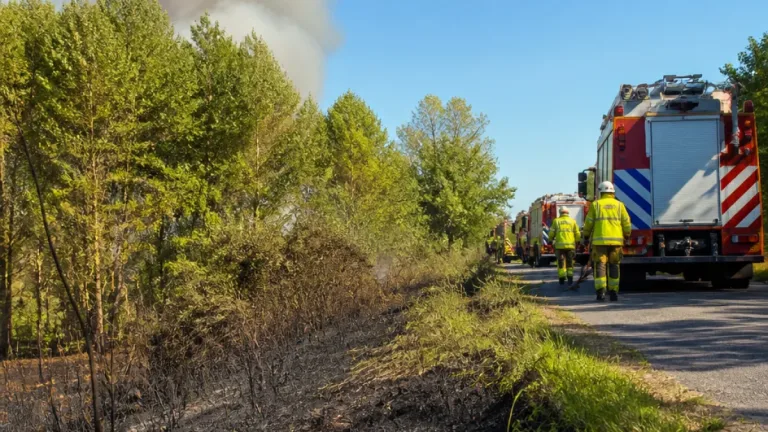 Bosbrand langs Broekpolderweg legt stuk natuur in Vlaardingen lam
