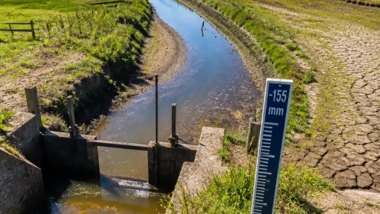 Droogte in Fryslân: neerslagtekort 155 mm, inlaat uit IJsselmeer beperkt