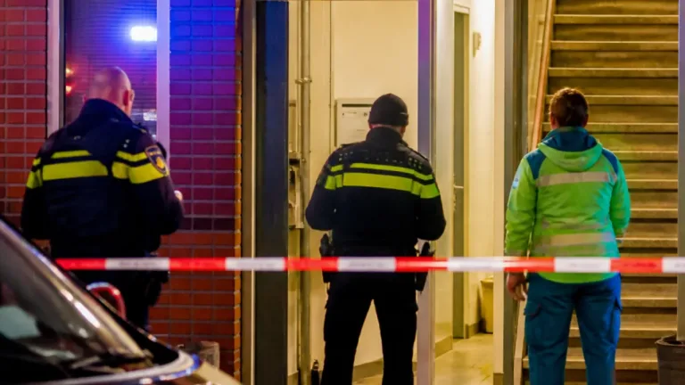 Na nachtelijke steekpartij in Helmond: vrouw (55) vast, man (39) zwaargewond