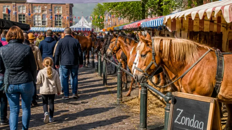 Paardenmarkt in Rolde na 240 jaar verplaatst van dinsdag naar zondag