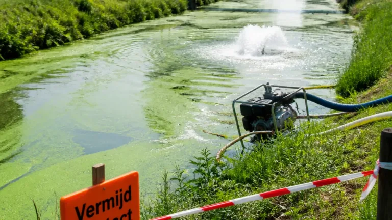 Roermond waarschuwt: vermijd contact met water in Maasnielderbeek