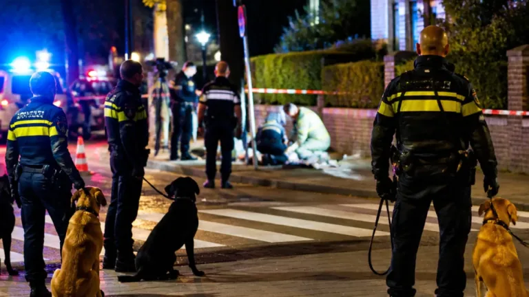 Voetganger gewond bij botsing op zebrapad in Baarn; honden ongedeerd
